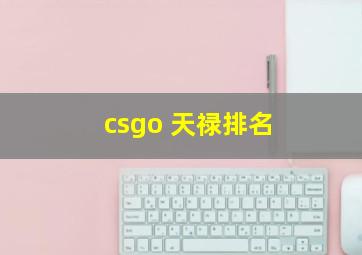 csgo 天禄排名